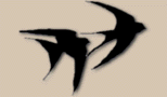 Homepage
