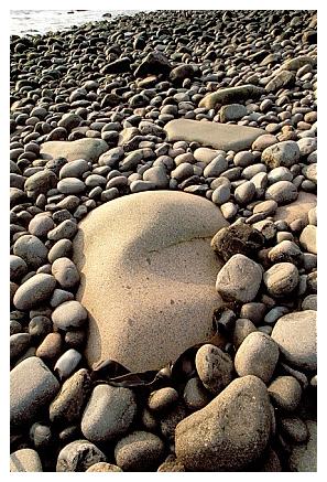../Images/acadia40.jpg