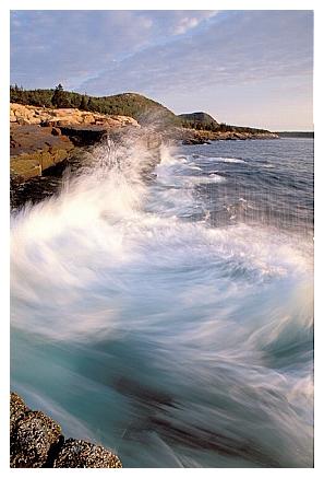 ../Images/acadia44.jpg
