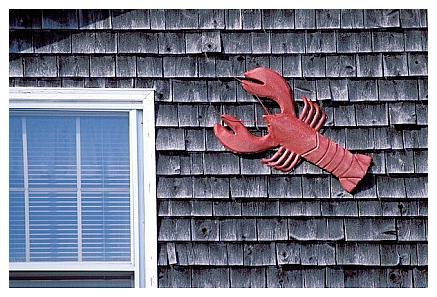 ../Images/acadia45.jpg