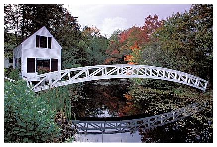 ../Images/acadia46.jpg