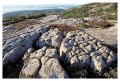 Thumbs/tn_acadia02.jpg