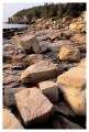 Thumbs/tn_acadia10.jpg