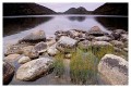 Thumbs/tn_acadia13.jpg