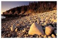 Thumbs/tn_acadia38.jpg