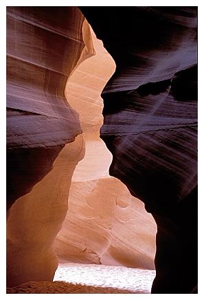 ../Images/antelope02.jpg