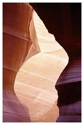 ../Images/antelope03.jpg