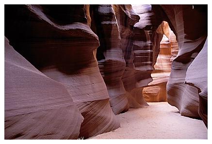 ../Images/antelope05.jpg