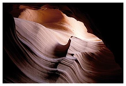 ../Images/antelope06.jpg