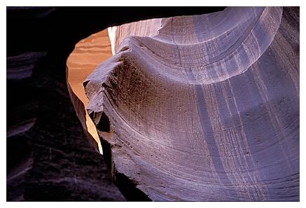 ../Images/antelope08.jpg