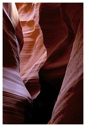 ../Images/antelope09.jpg