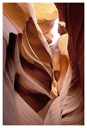 ../Images/antelope10.jpg