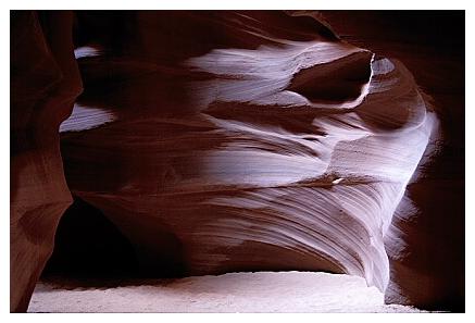 ../Images/antelope14.jpg