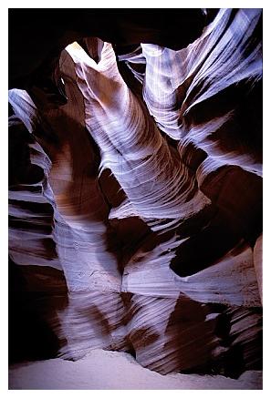 ../Images/antelope17.jpg