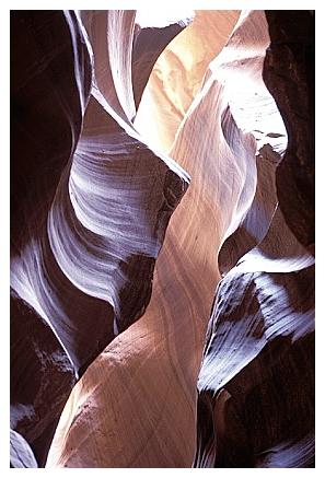 ../Images/antelope18.jpg