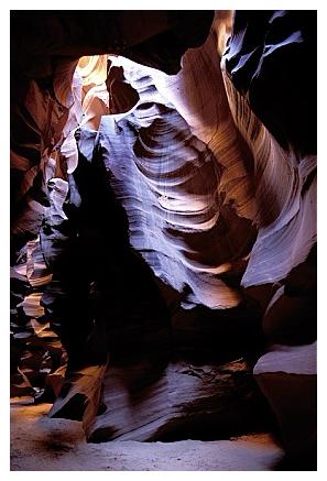 ../Images/antelope20.jpg