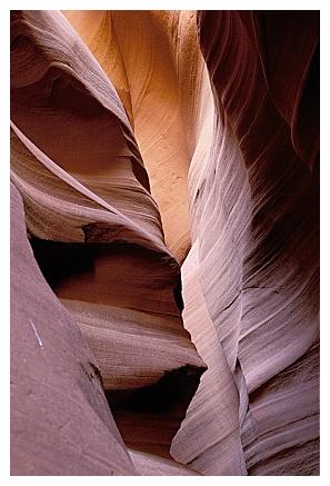 ../Images/antelope23.jpg
