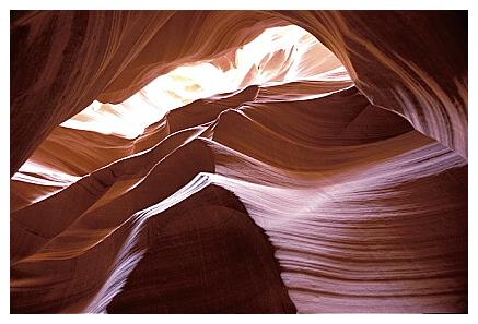 ../Images/antelope25.jpg
