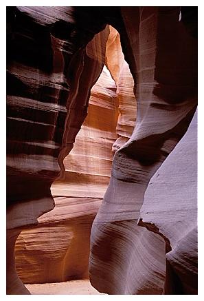 ../Images/antelope29.jpg