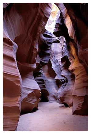 ../Images/antelope30.jpg