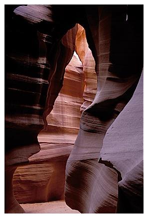 ../Images/antelope31.jpg