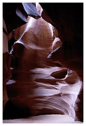 ../Images/antelope32.jpg
