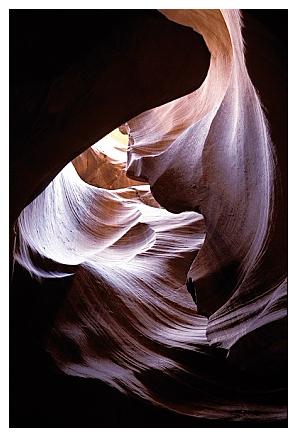 ../Images/antelope34.jpg