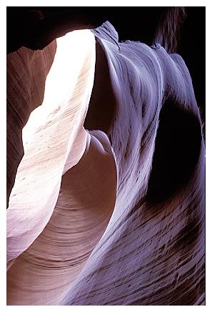 ../Images/antelope36.jpg