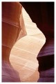 Thumbs/tn_antelope03.jpg
