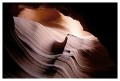 Thumbs/tn_antelope06.jpg