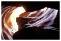 Thumbs/tn_antelope07.jpg