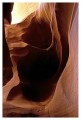 Thumbs/tn_antelope12.jpg