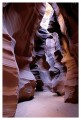 Thumbs/tn_antelope30.jpg