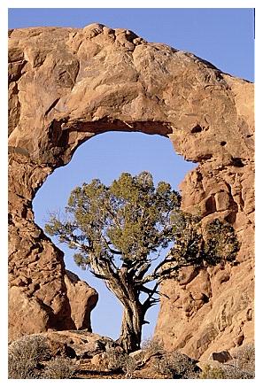 ../Images/arches15.jpg