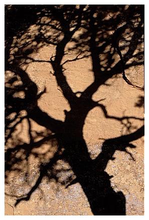 ../Images/arches16.jpg