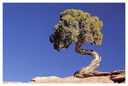 ../Images/arches18.jpg