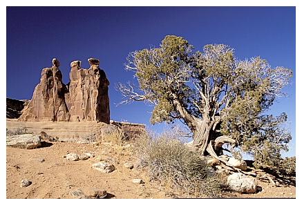 ../Images/arches19.jpg