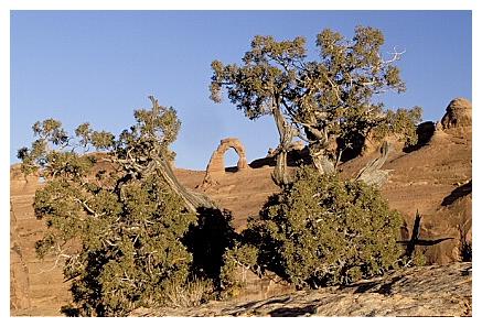 ../Images/arches20.jpg