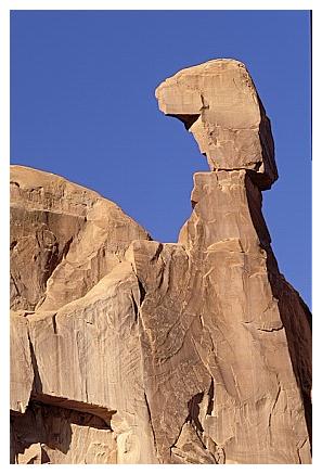 ../Images/arches22.jpg