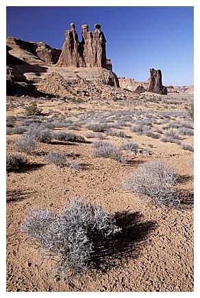 ../Images/arches23.jpg