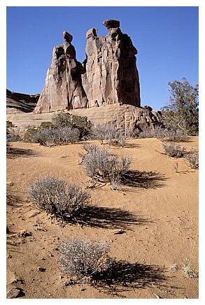 ../Images/arches24.jpg