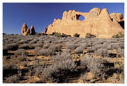 ../Images/arches28.jpg