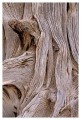 Thumbs/tn_arches08.jpg