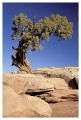 Thumbs/tn_arches13.jpg