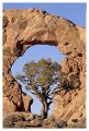 Thumbs/tn_arches15.jpg
