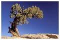 Thumbs/tn_arches17.jpg