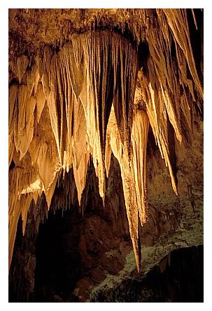 ../Images/carlbad06.jpg