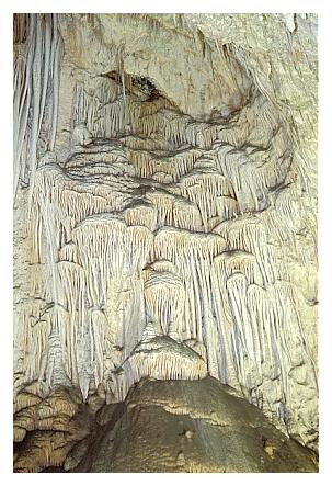 ../Images/carlbad13.jpg