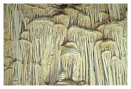 ../Images/carlbad14.jpg