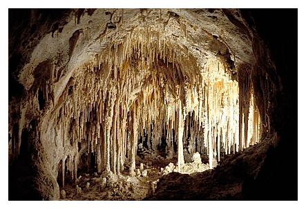 ../Images/carlbad16.jpg